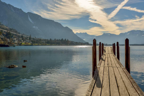 istock Small wooden pier on Lake Geneva 874541892