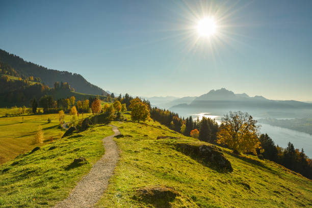 Amazing autumn hike on Seebodenalp Amazing autumn hike on Seebodenalp. Views on Alps, Pilatus and Lake Lucerne like never before schwyz stock pictures, royalty-free photos & images