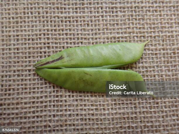 Unripe Pod Of Petit Flamboyant Stock Photo - Download Image Now - Bean, Beauty, Blossom