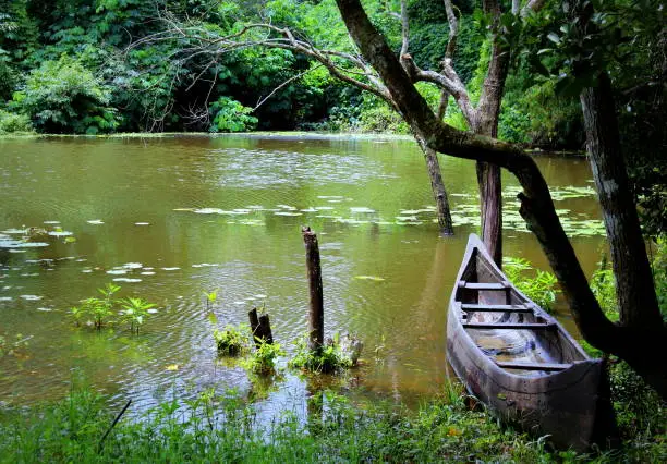 Photo of traditional canoe