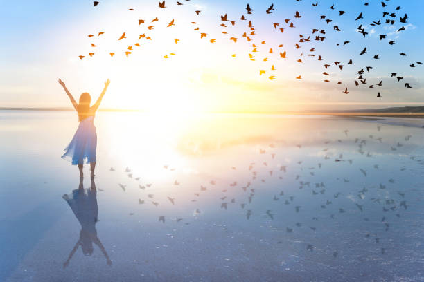 Freedom Woman on lake at sunset representing freedom women flying bird freedom stock pictures, royalty-free photos & images