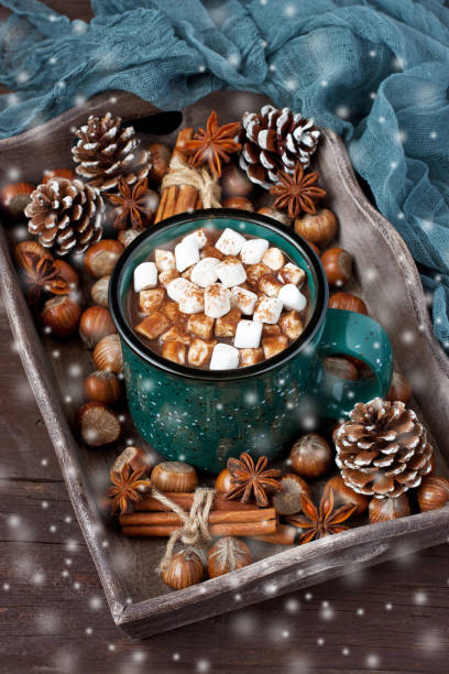istock Mug filled with hot chocolate and marshmallows and gingerbread cookies 874551320