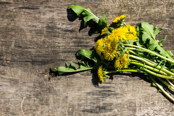 istock Yellow dandelion flowers on rustic wooden background. Top view 874554464