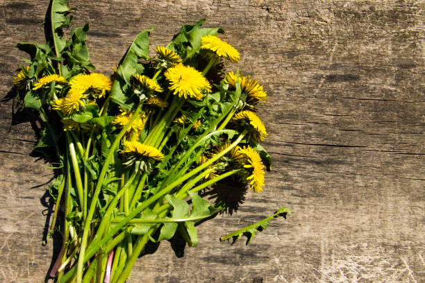 istock Yellow dandelion flowers on rustic wooden background. Top view 874554470