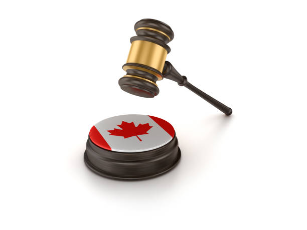 gavel con bandiera canadese - rendering 3d - canadian flag flag trial justice foto e immagini stock