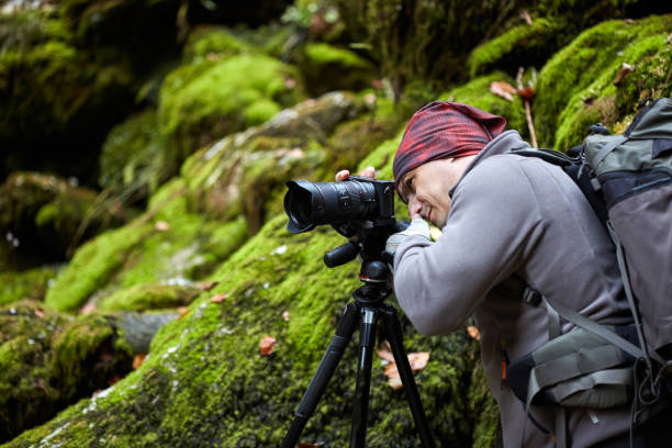 istock Professional nature photographer 874566118