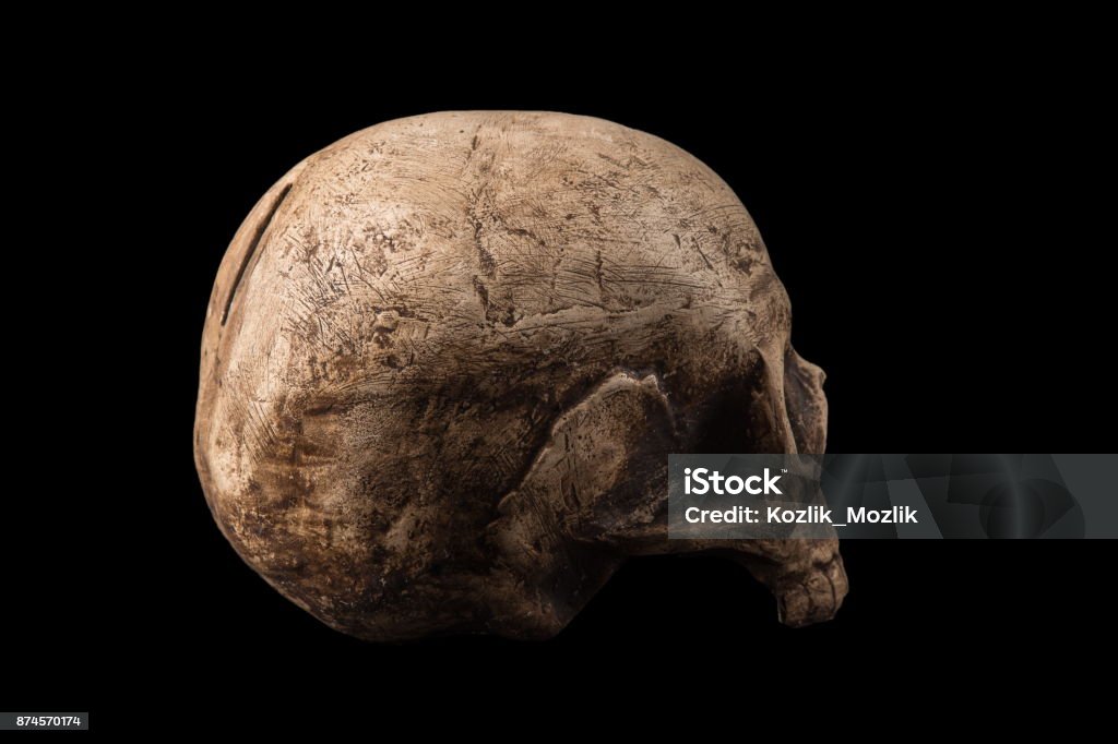 Bone skull on a black background Abstract Stock Photo Bone skull on a black background Abstract Stock Photo