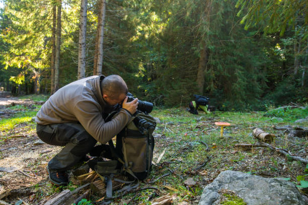 istock Professional nature photographer 874572292