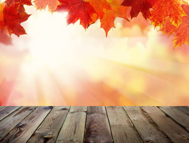 istock Autumn Background with Fall Leaves, Abstract Light Steam and Empty Wooden Board with Copy Space. Template Mock up for Display of Product 874576224