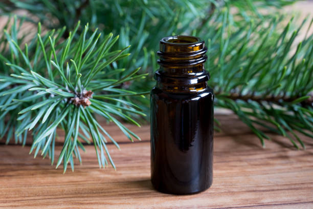 istock A bottle of pine essential oil 874583852