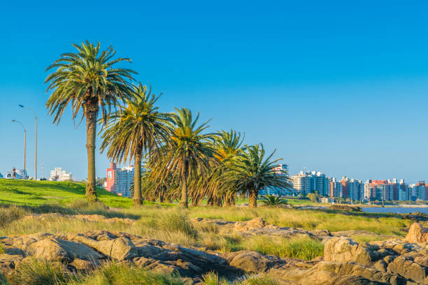 istock Montevideo Coastal Cityscape 874586772