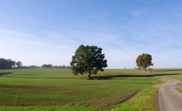 istock Germany: Gently rolling countryside on a sunny day at the end of October 874588078