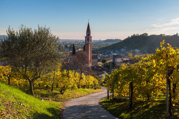 istock Vidor (TV) Veneto, Prosecco hills,Panorama 874596980