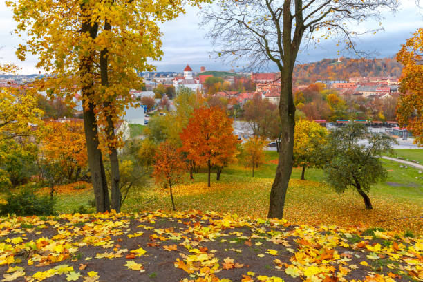 istock Autumn Old town of Vilnius, Lithuania 874606872