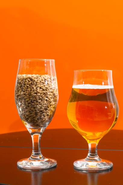 ein glas von gerste und andere bier - brewery beer barley cereal plant stock-fotos und bilder