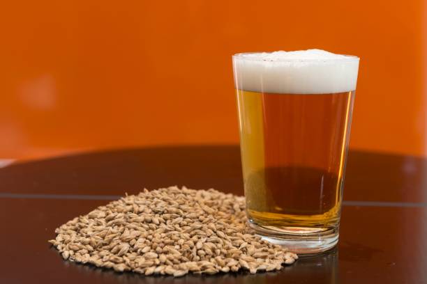 istock Barley in a table beside a glass of beer 874616742