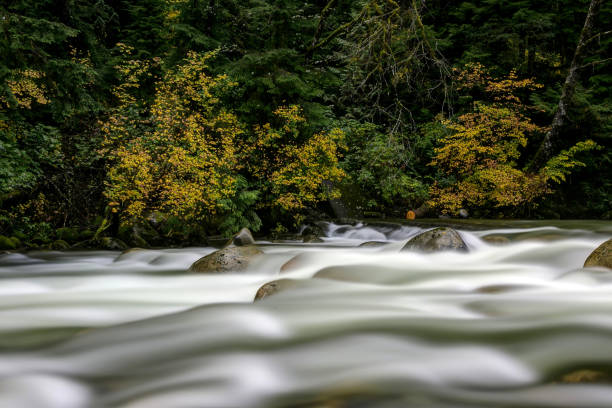istock long exposure of creek water 874617408