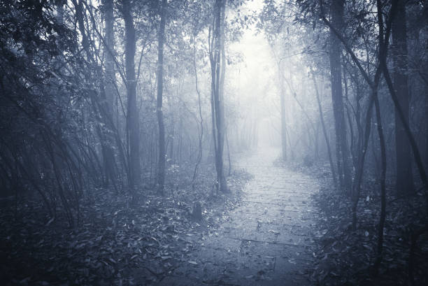 istock Zhangjiajie Forest Park. 874640456