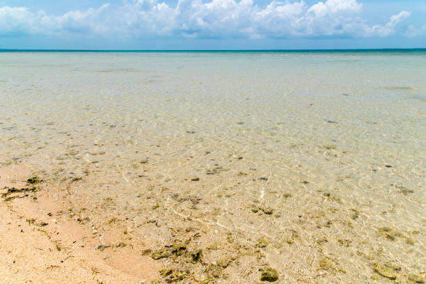 istock View to the Haimurubushi beach (Kohama Island / Kohamajima, Okinawa) 874640944