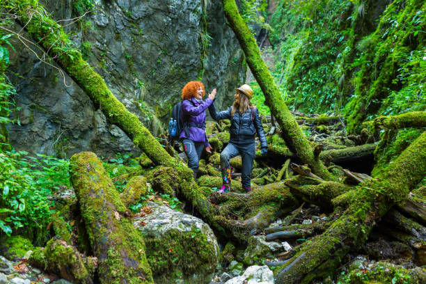 istock Girlfriends hiking together 874641560