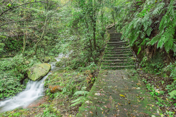 istock Ancient stairway in Zhangjiajie Forest Park. 874645606