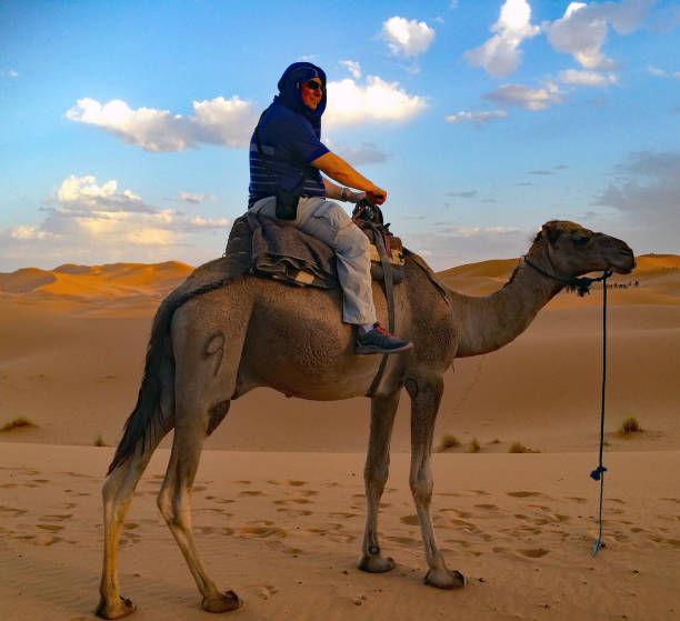 istock Saharah Desert near Ouarzazat 874659398