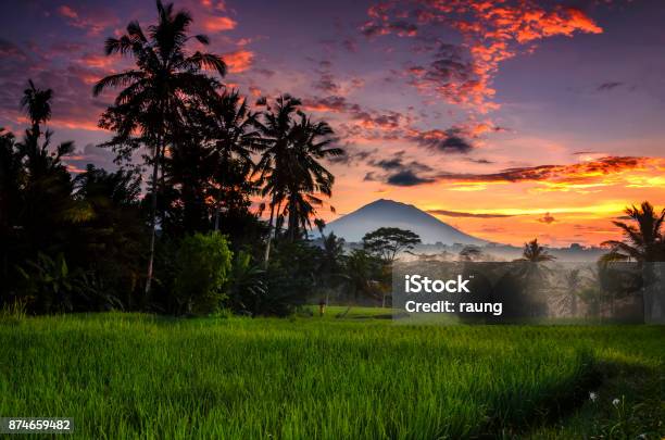 Morning At Ubud Stock Photo - Download Image Now - Bali, Ubud, Ubud District