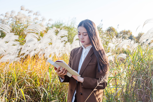attractive woman reading books amidst reed plants.
