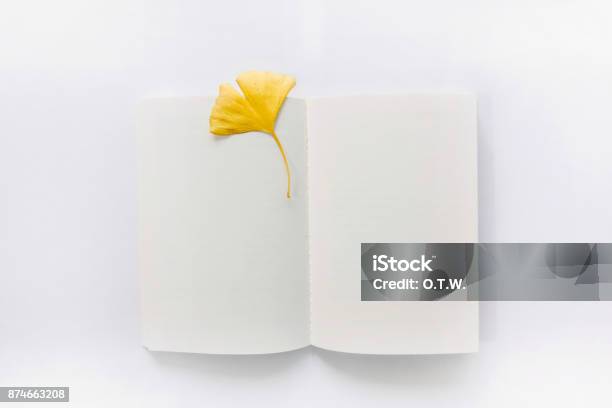 Opened Book And Leaf Bookmark Stock Photo - Download Image Now - Arts Culture and Entertainment, Autumn, Backgrounds