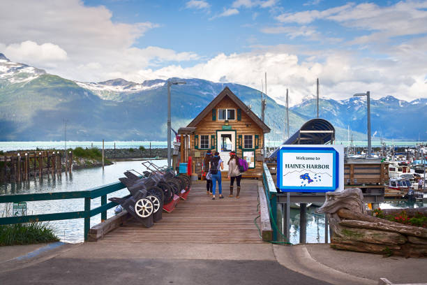 the haines harbor in alaska. - haines imagens e fotografias de stock