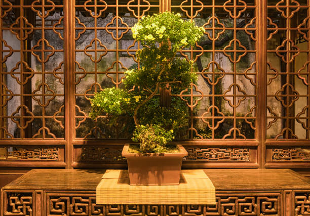 Suzhou garden night scene