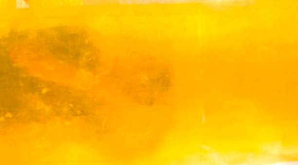 istock Shiny yellow leaf gold foil texture background. 874676300