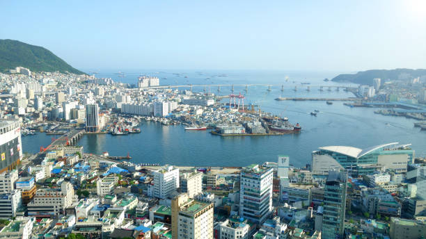 Busan at the Busan tower