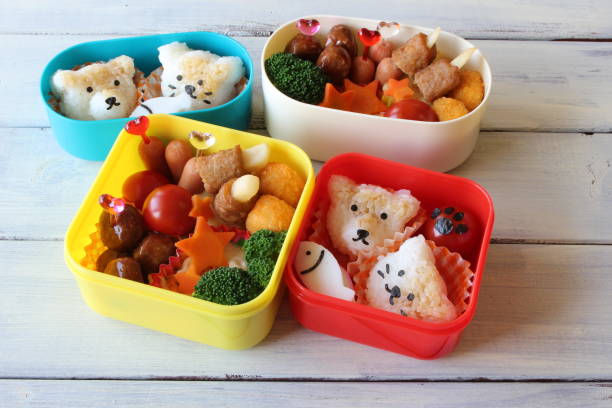 lunch-box von hunde- und katzenfutter - bento stock-fotos und bilder