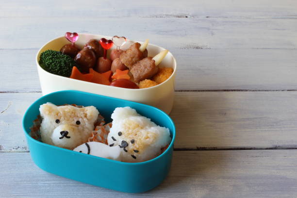 Lunch box of dog and cat Lunch box of dog and cat empty bento box stock pictures, royalty-free photos & images