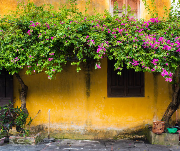 istock Hoian City - Vietnam 874685722