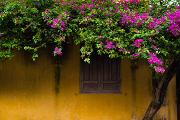 istock Hoian City - Vietnam 874692560