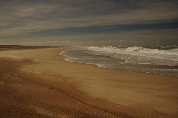 istock Danish sandy beach , Skagen, Denmark 874693600