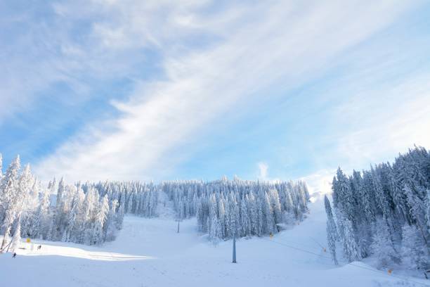 ポイアナ ブラショフにある冬のリゾート地でスキー場の人工雪を作る雪の大砲 - mountain winter season machine snow making machine ストックフォトと画像