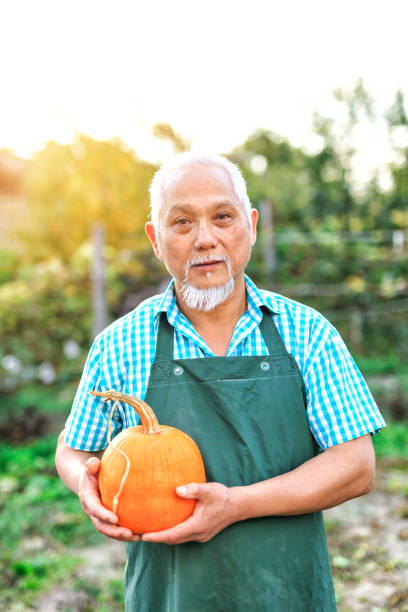 istock Asian farm worker holding a pumpkin 874697460