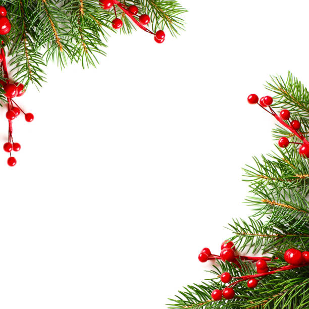 istock Christmas Background with Red Holly Berries and Xmas Tree Twig 874700694
