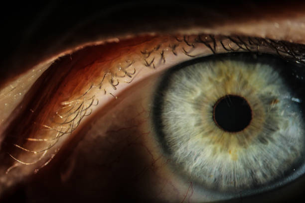 istock An enlarged image of eye with a green iris, eyelashes and sclera 874703900