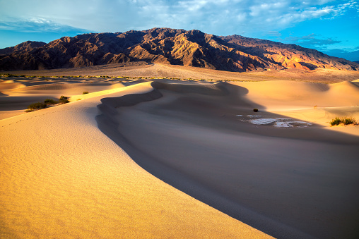 Sand dunes in desert at sunrise, Death Valley National Park.