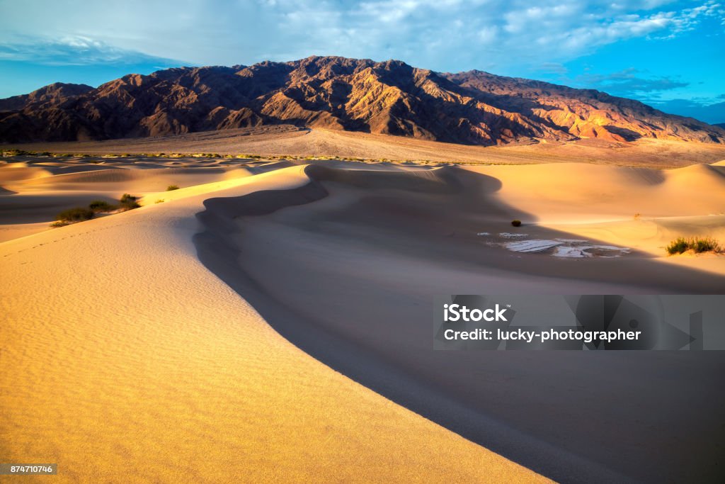Sand dunes in desert Sand dunes in desert at sunrise, Death Valley National Park. Wahiba Stock Photo