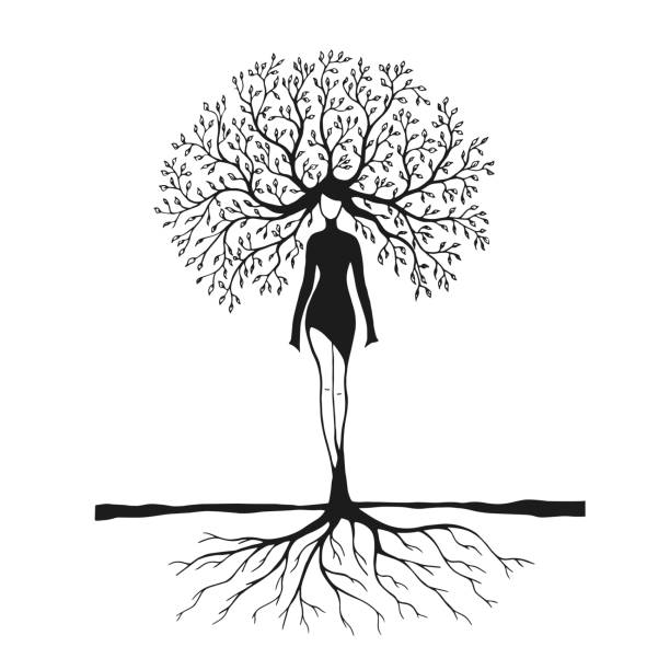 Tree Woman Men Design 330+ Human Shape Tree Root Stock Photos, Pictures & Royalty-Free Images ...