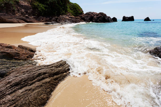istock tropical andaman seascape scenic off beach with wave crashing on sandy shore. 874716072