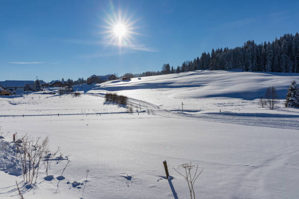 istock Winter landscape and trails for skiers 874719940