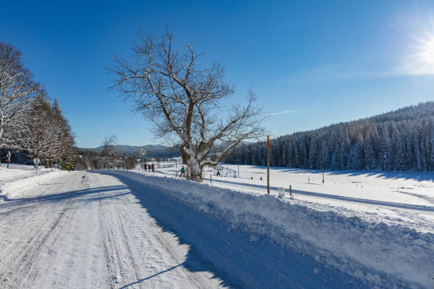 istock Winter landscape and trails for skiers 874720034