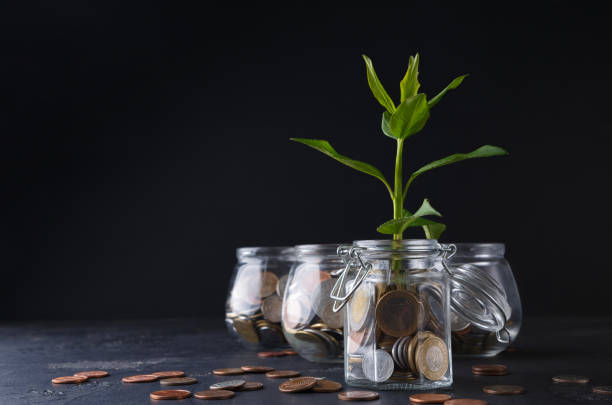 istock Plant growing on coins in glass jar 874723684