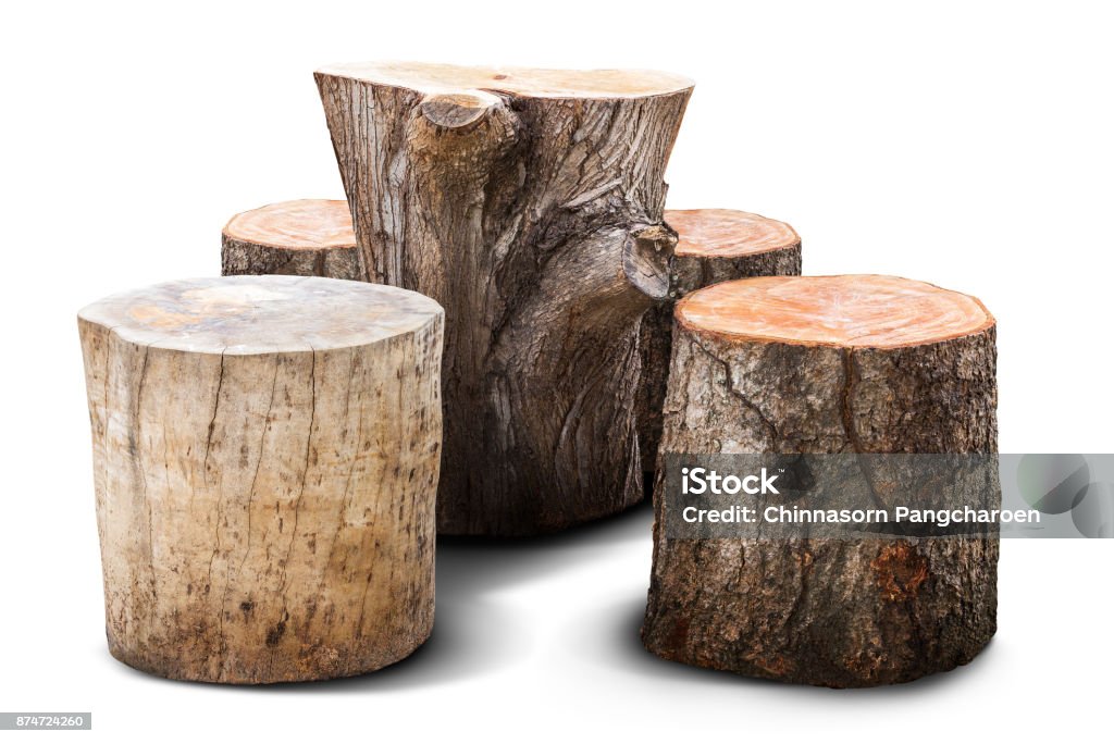 Mobilier naturel - Photo de Tronc d'arbre libre de droits